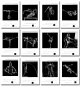 Preview: Semesterakte "Best of" 2008